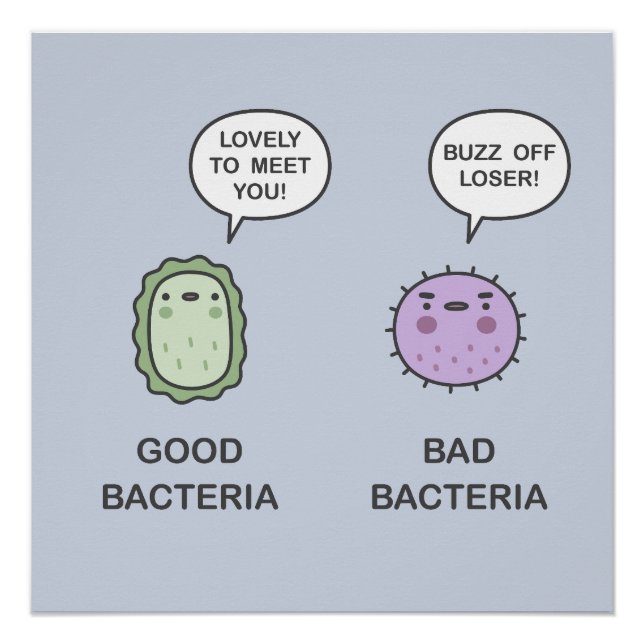 Good Bacteria, Bad Bacteria Poster (Front)