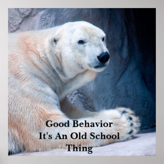 Good BehaviorI Poster