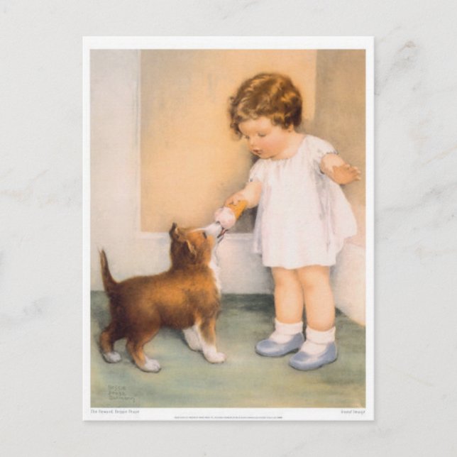 Good Boy!  Border Collie Postcard (Front)