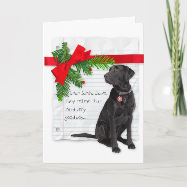 Good Boy Funny Christmas Holiday Card (Front)