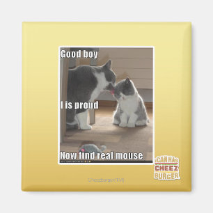 Good boy magnet