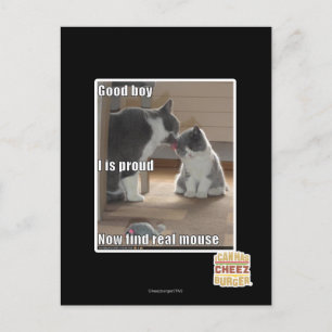 Good boy postcard