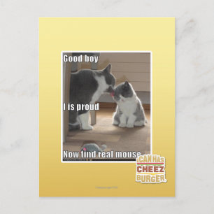 Good boy postcard