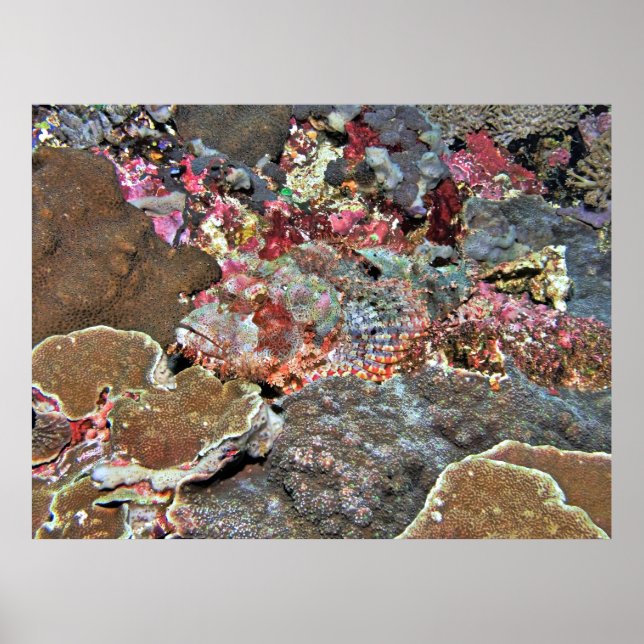 Good Camo Poster (Front)