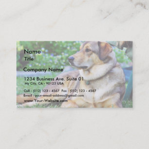 Good Dog Business Card