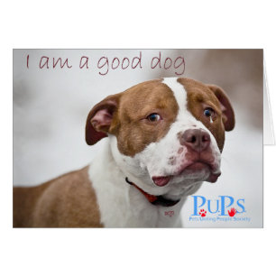 Good Dog Pit Bull Rescue