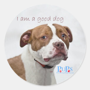 Good Dog Pit Bull Rescue Classic Round Sticker