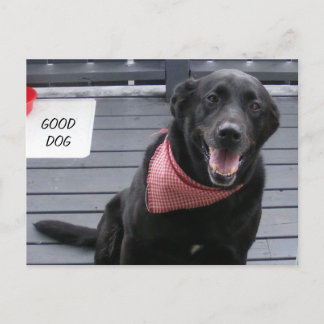 GOOD DOG POSTCARD