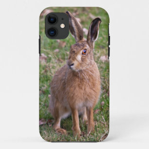 Good Hare Day iPhone 5 Case