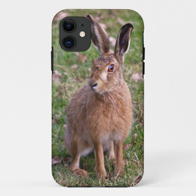 Good Hare Day iPhone 5 Case (Back)