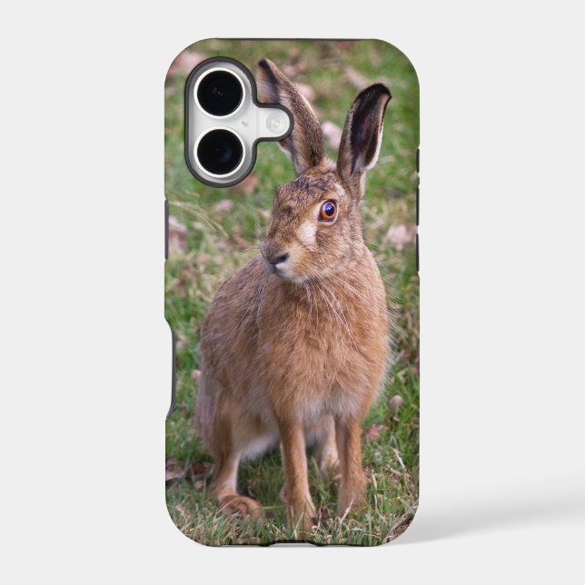 Good Hare Day iPhone 5 Case (Back)