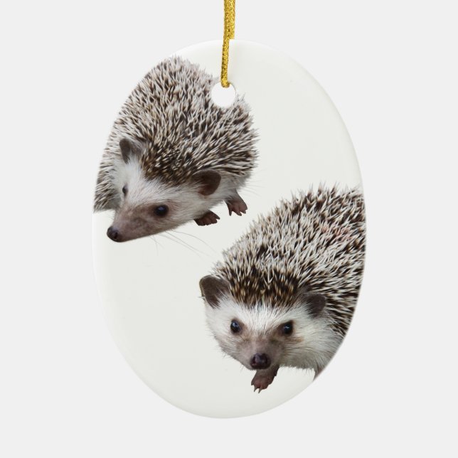 good hedgehog ceramic tree decoration (Front)