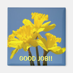 GOOD JOB!! magnets Kids Schools Classroom gifts