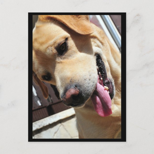 Good joke,man! postcard (Front)