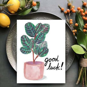 Good Luck Calathea Prayer Plant Watercolor Postcard