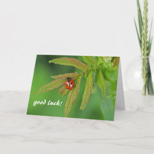 good luck card