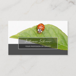 Good luck dotted ladybugs elegant grey rectangle b business card