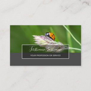 Good luck dotted ladybugs elegant grey rectangle business card
