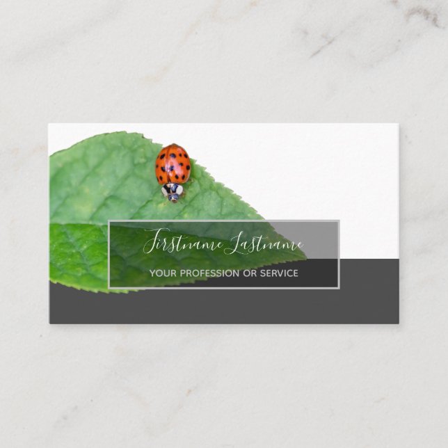 Good luck dotted ladybugs elegant grey rectangle business card (Front)