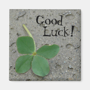 Good Luck! Four Leaf Clover Magnet