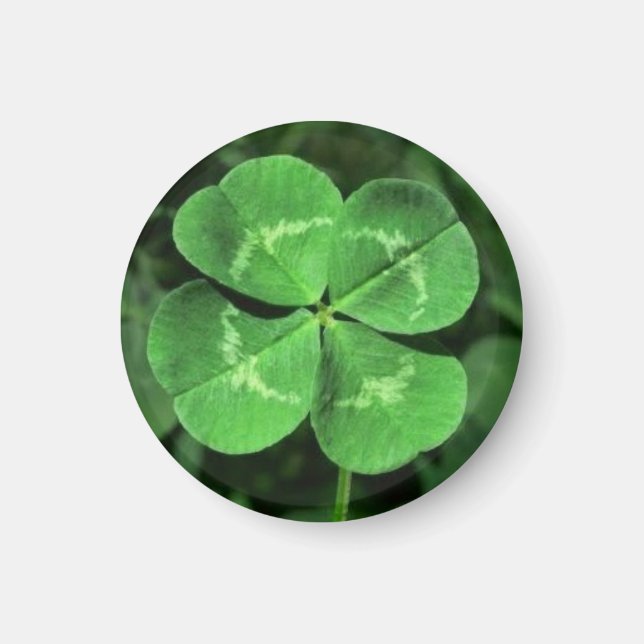 Good Luck Four Leaf Clover Magnet (Front)