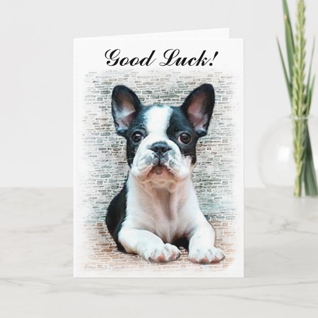 Good Luck French Bulldog puppy card (Front)