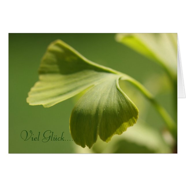 Good luck - Ginkgoblatt (Front Horizontal)