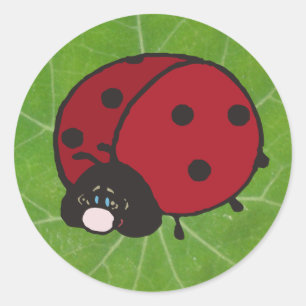good luck lady bug classic round sticker