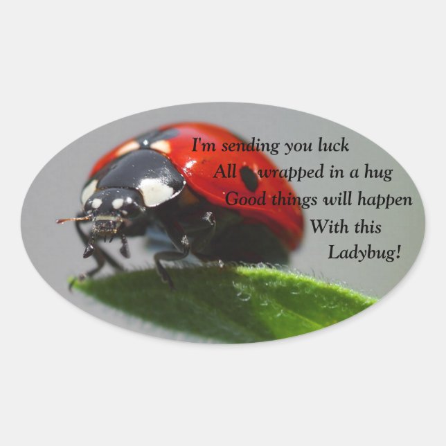 Good Luck Ladybug Oval Stickers (Front)