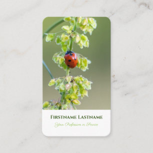 Good luck ladybug positive mental health coaching business card
