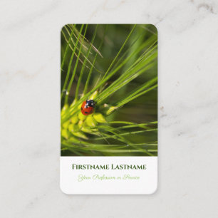 Good luck ladybug positive mental health coaching business card