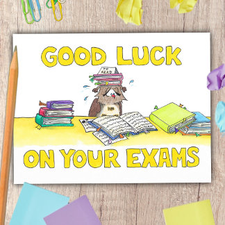 Good Luck on your Exams Postcard