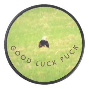 Good Luck Puck