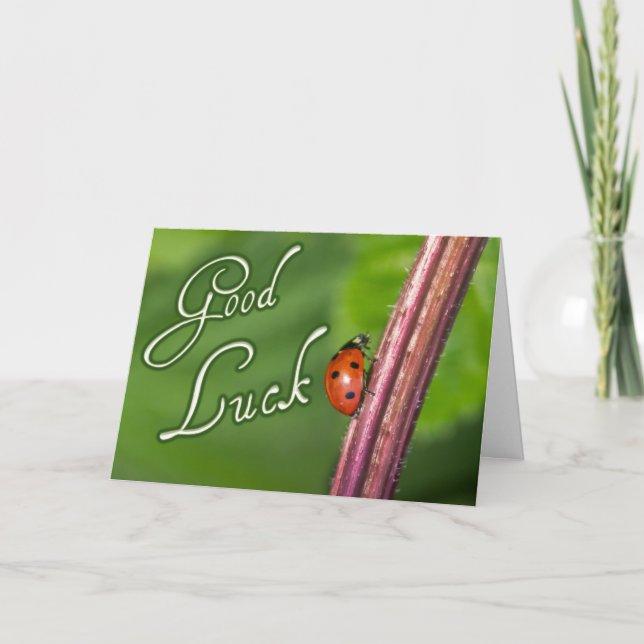 Good luck with a little ladybug! Card (Front)