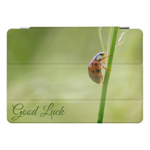 Good luck with cute little ladybug! iPad pro cover