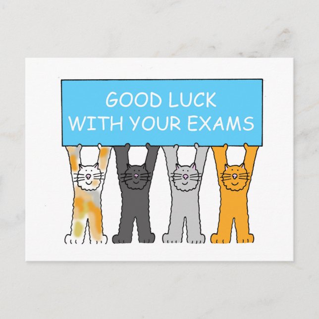 Good Luck with Your Exams Cartoon Cats Postcard (Front)