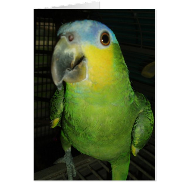 Good Morning! (Front)