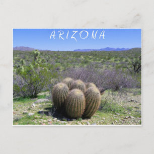 Good Morning A R I ZO N A Postcard