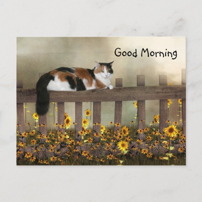 Good morning calico kitty postcard (Front)