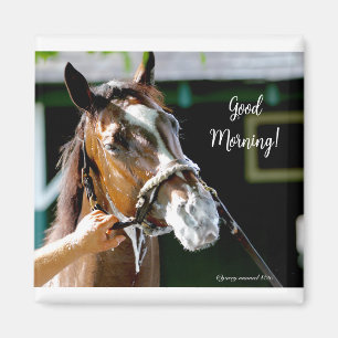 Good Morning! Horse Magnet