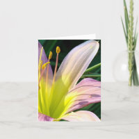 Good morning Lily! Notecard