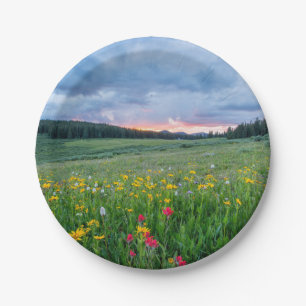 Good Morning Meadow, Paper Plate