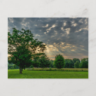 Good Morning Ozark Postcard