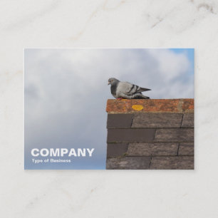 Good Morning Pigeon Business Card