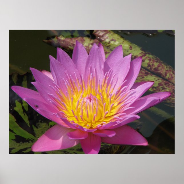 Good morning poster (Front)