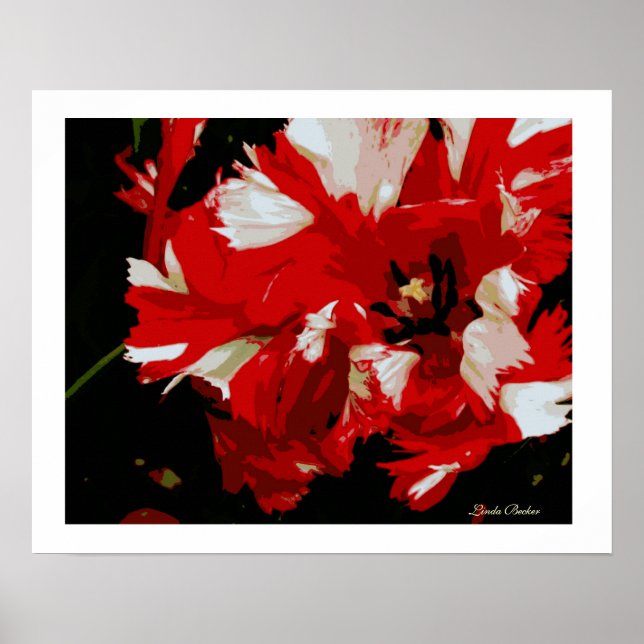 Good Morning Starshine by Linda Becker Poster (Front)