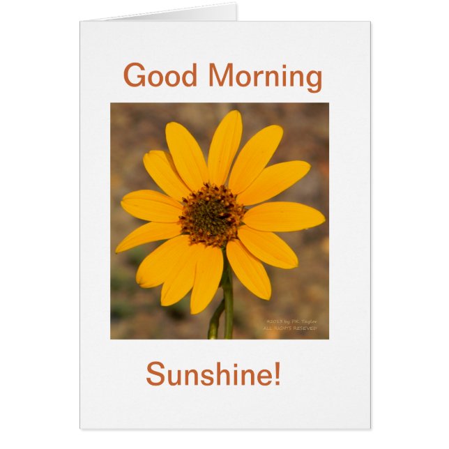 Good Morning, Sunshine! (Front)