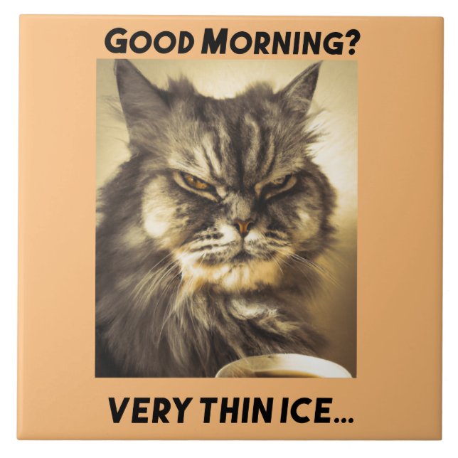 Good morning! Very thin ice. Cat with ironic touch Ceramic Tile (Front)