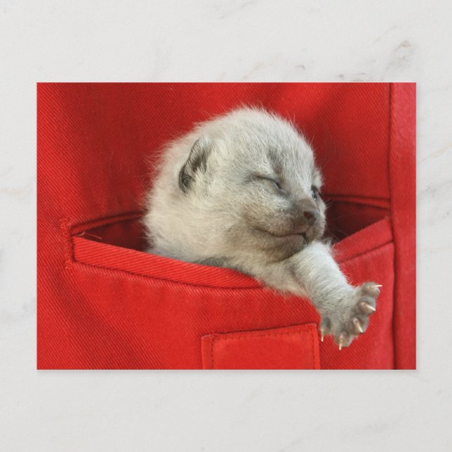 Good morning world postcard (Front)