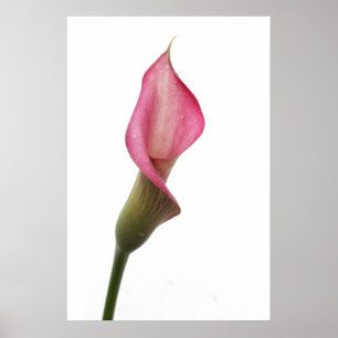 Good Night Angel Poster